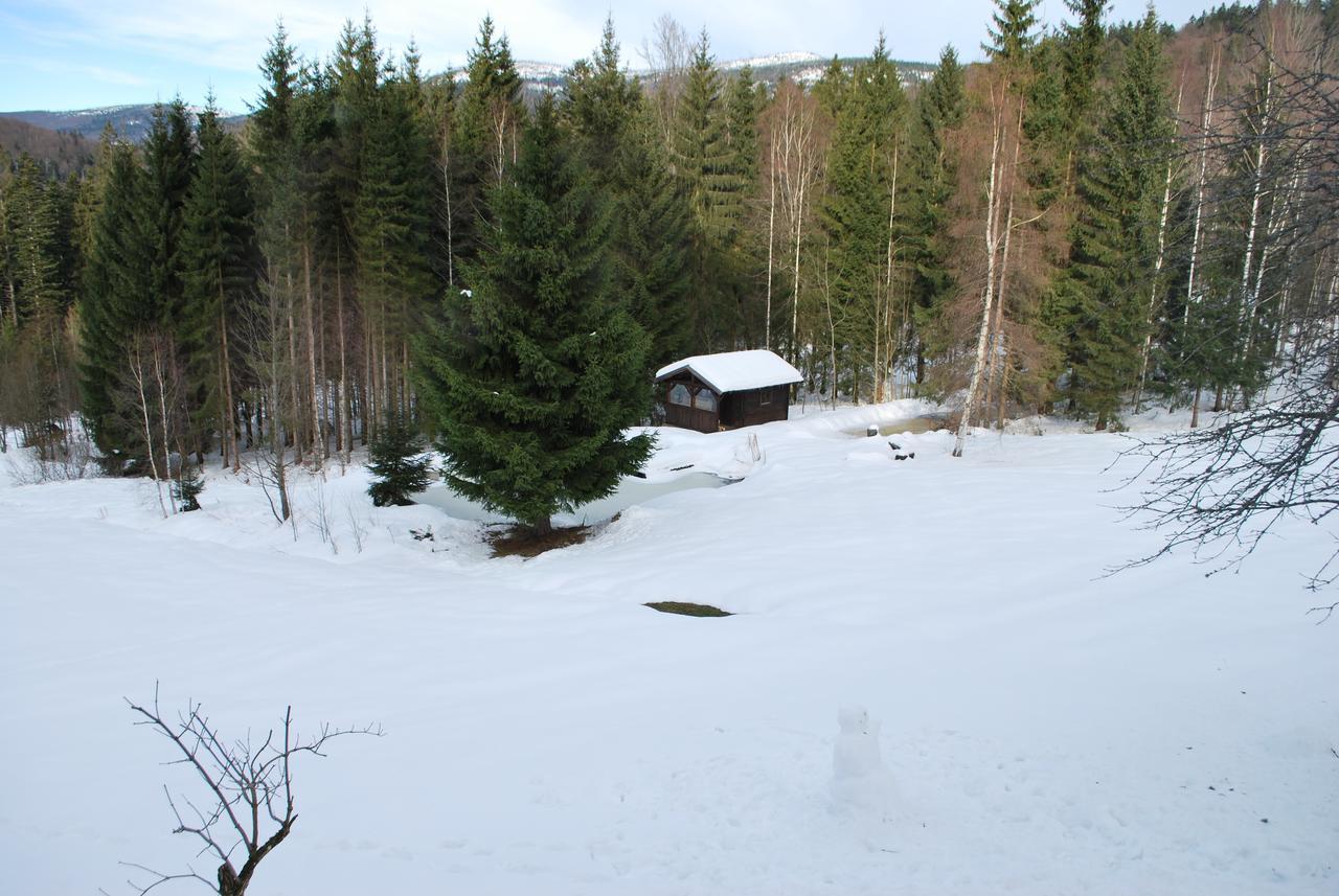 Ferienhaus "Lisa'S Haeusl" Neuschönau Exterior foto
