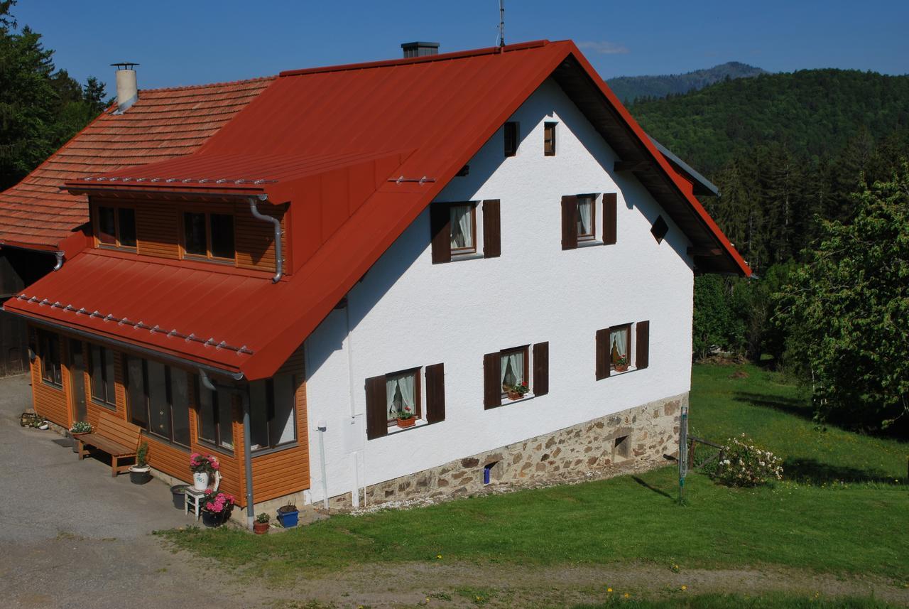 Ferienhaus "Lisa'S Haeusl" Neuschönau Exterior foto