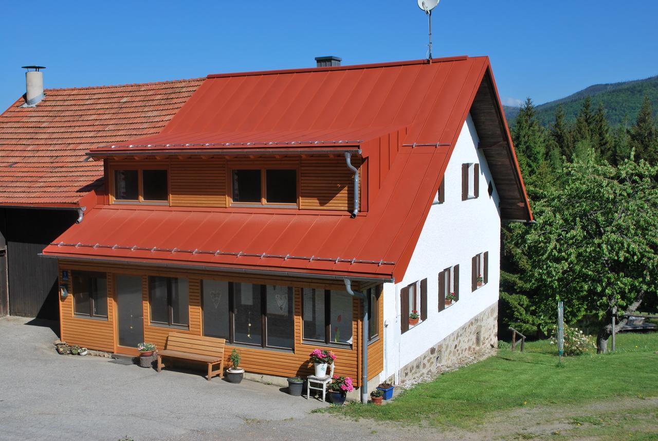 Ferienhaus "Lisa'S Haeusl" Neuschönau Exterior foto